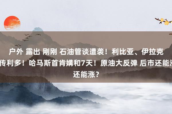户外 露出 刚刚 石油管谈遭袭！利比亚、伊拉克突传利多！哈马斯首肯媾和7天！原油大反弹 后市还能涨？