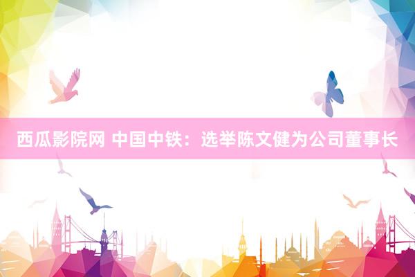 西瓜影院网 中国中铁：选举陈文健为公司董事长