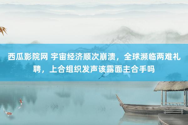 西瓜影院网 宇宙经济顺次崩溃，全球濒临两难礼聘，上合组织发声该露面主合手吗