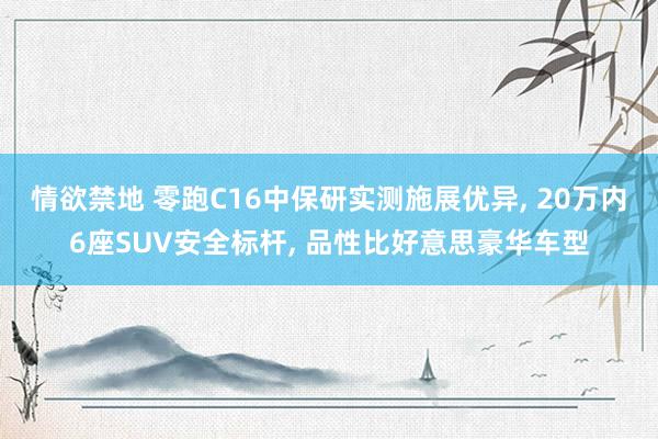 情欲禁地 零跑C16中保研实测施展优异, 20万内6座SUV安全标杆, 品性比好意思豪华车型