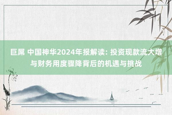 巨屌 中国神华2024年报解读: 投资现款流大增与财务用度骤降背后的机遇与挑战