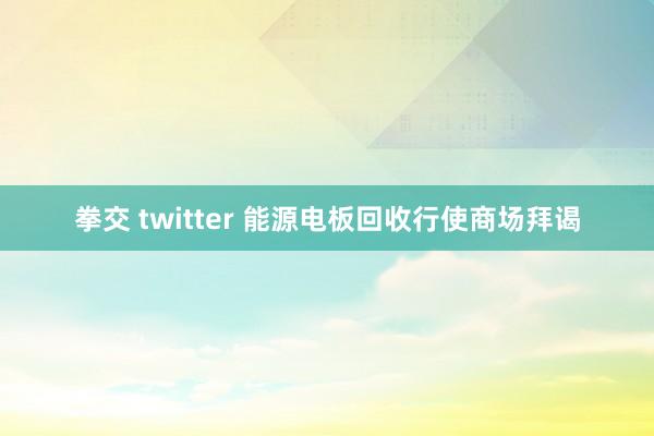 拳交 twitter 能源电板回收行使商场拜谒