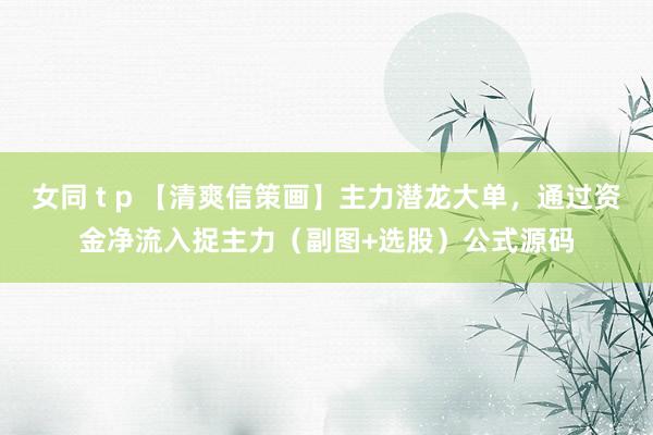 女同 t p 【清爽信策画】主力潜龙大单，通过资金净流入捉主力（副图+选股）公式源码