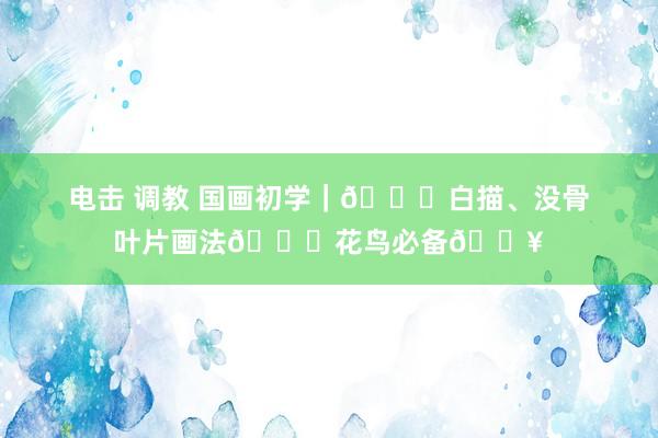 电击 调教 国画初学｜🍃白描、没骨叶片画法👉花鸟必备🔥