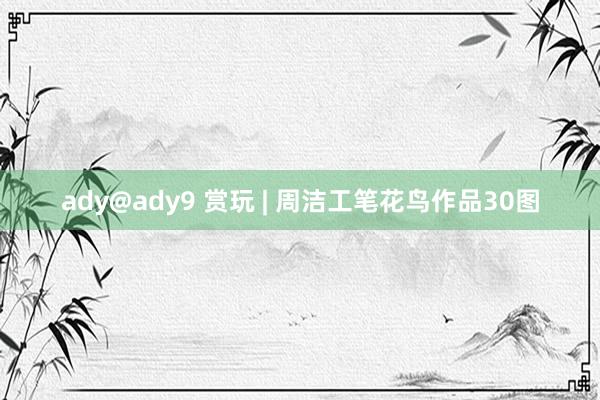 ady@ady9 赏玩 | 周洁工笔花鸟作品30图