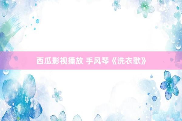 西瓜影视播放 手风琴《洗衣歌》