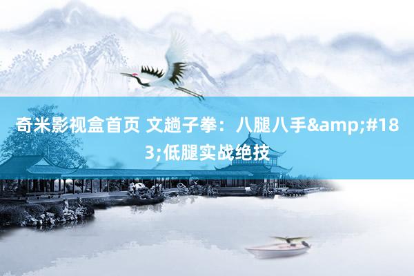 奇米影视盒首页 文趟子拳：八腿八手&#183;低腿实战绝技