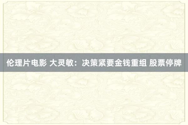 伦理片电影 大灵敏：决策紧要金钱重组 股票停牌