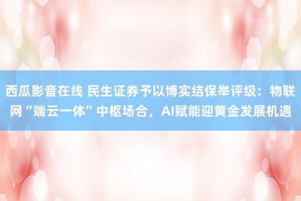 西瓜影音在线 民生证券予以博实结保举评级：物联网“端云一体”中枢场合，AI赋能迎黄金发展机遇