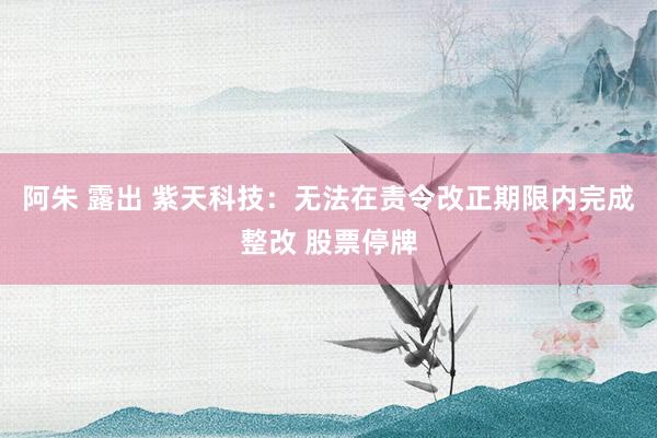 阿朱 露出 紫天科技：无法在责令改正期限内完成整改 股票停牌