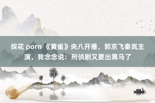探花 porn 《黄雀》央八开播，郭京飞秦岚主演，我念念说：刑侦剧又要出黑马了